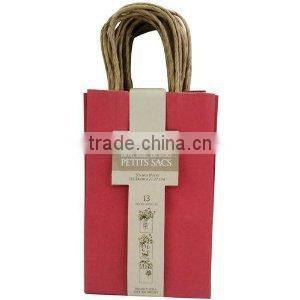 Small Red Gift Bags with cotton string handles
