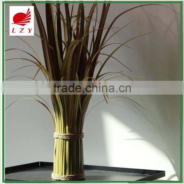New Arrival Home Decoration Onion Grass