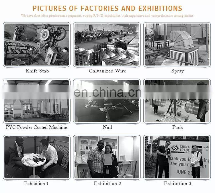 Good quality Commercial Industrial Steel Security palisade fencing