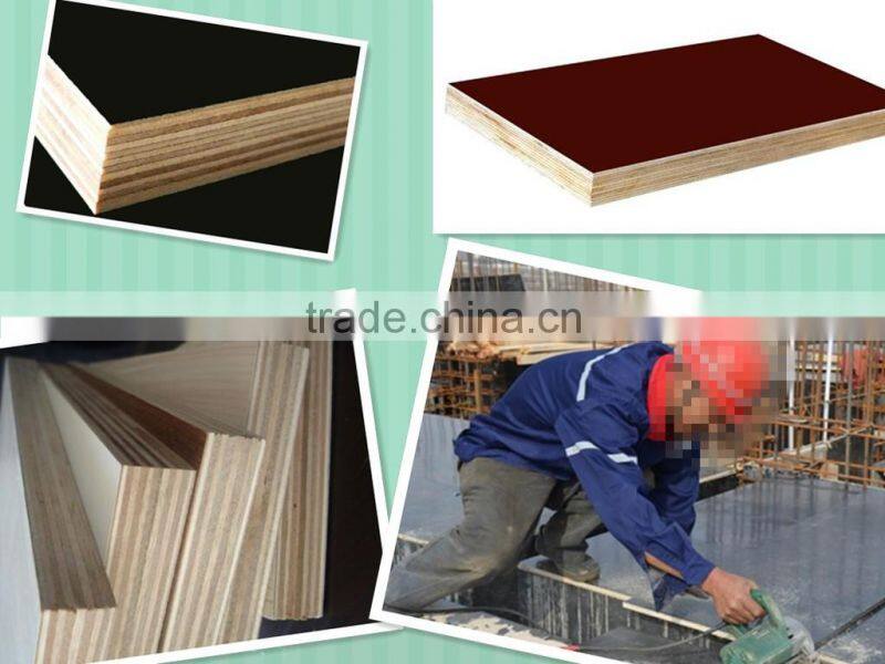 Commercial plywood/Furniture usage wood plywood