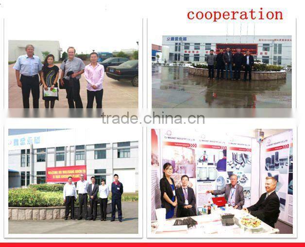 SGS certificated small black neodymium powerful magnet for industry