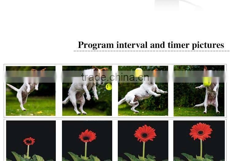 Remote Shutter Release For Sony A900/A580/A390/A77/A65/A57/A37 Series