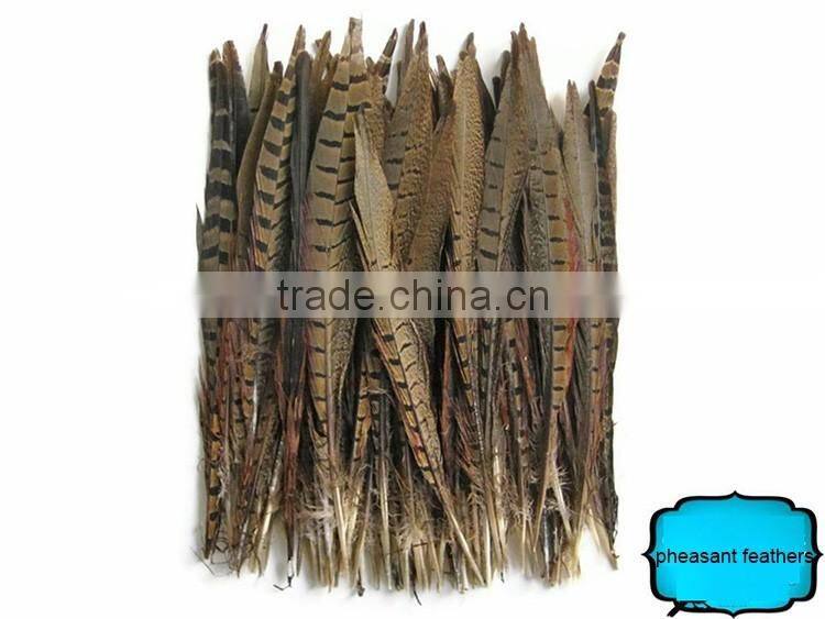 Wholesale Reeves pheasant tail feathers, Natural Pheasant Tail Feathers