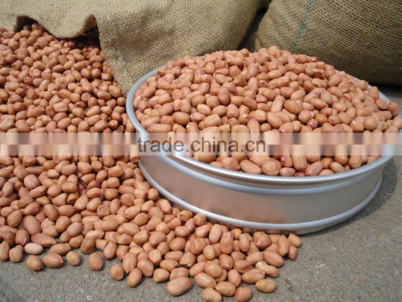 best selling products raw organic peanuts peanut kernels 24/28 peanut kernel price