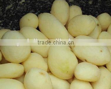 220V Stainless steel automatic potato peeler, potato peeler prices, rotating potato peeler