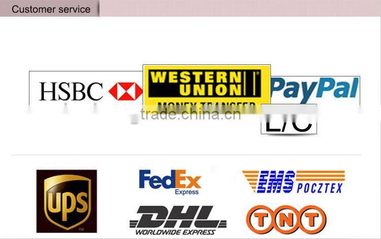 hot sale 7" Monitor and a 120 degree Mounted backup car side view camera system