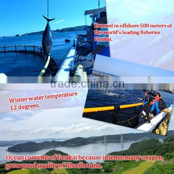 It would be very delicious and make a dried fish in Matuura bluefin tuna.