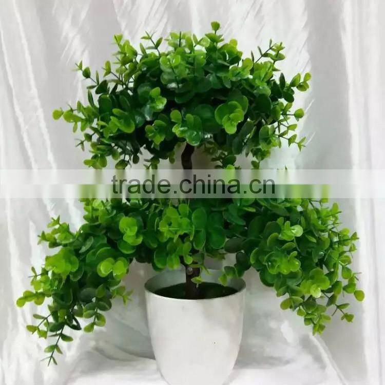 made in China mini home decoration plant with pot for sale