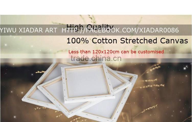 BPK101 Blank stretched cotton canvas for you to paint painting