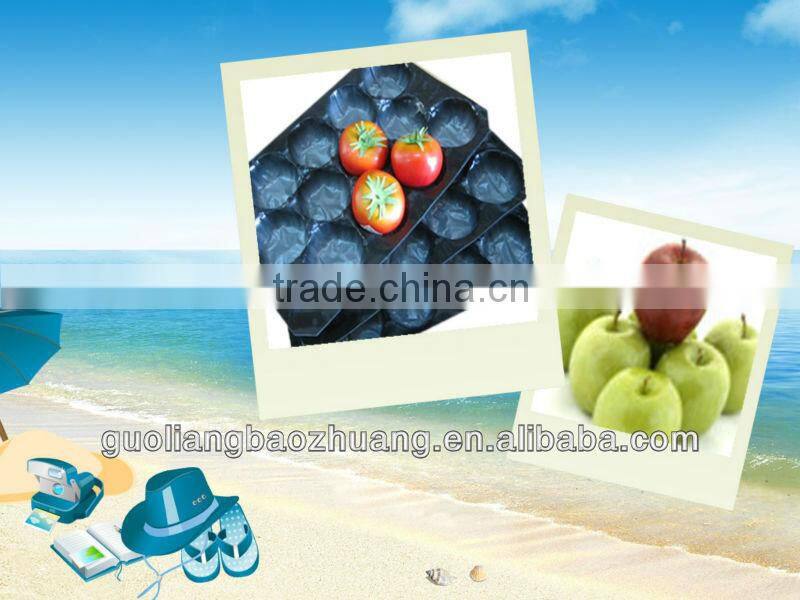 Recycled Fruit Tray Punnet