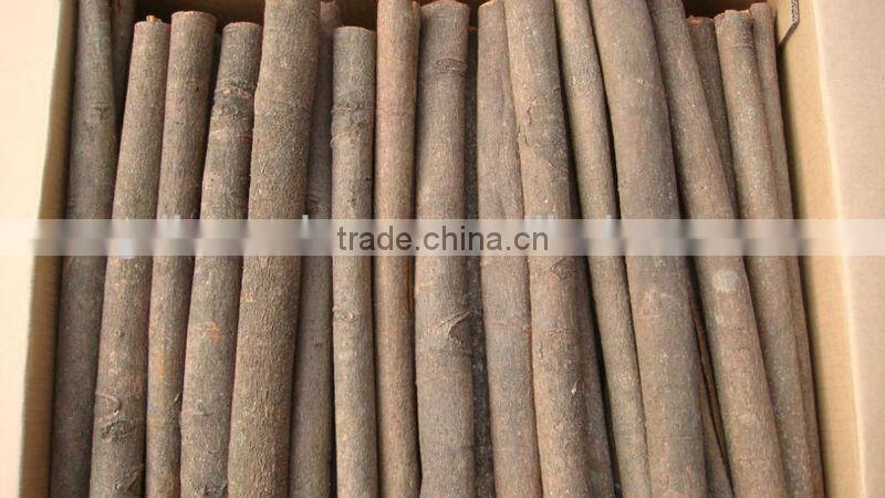 Chinese tube cassia HOT origin city -- luoding