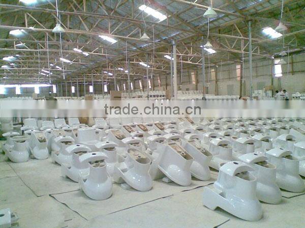 Ceramic Western Washdown Wall Hung Water Closet