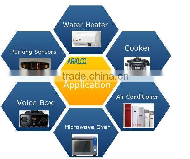 1 inch 1 digit led display,digital display