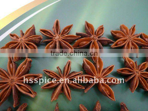 Chinese star aniseed
