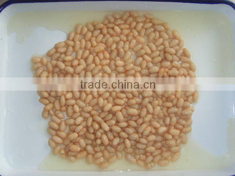 canned white kidney beans in tomato sauce 425g