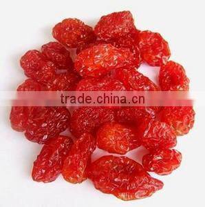 Top Quality Organic Dried Tomato