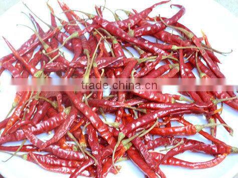 INDIAN DRY CHILI POWDER