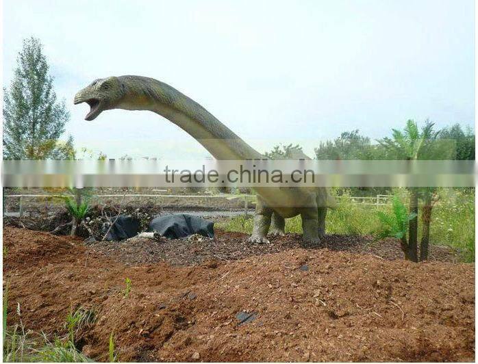 nature outdoor playground