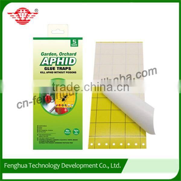 Mouse woodboard glue trap