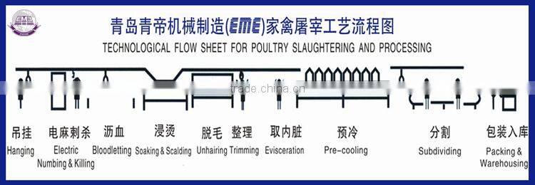 live chicken slaughter Poultry Killing And Bleeding And Processing Automatic Conveying System of poultry slaughter line