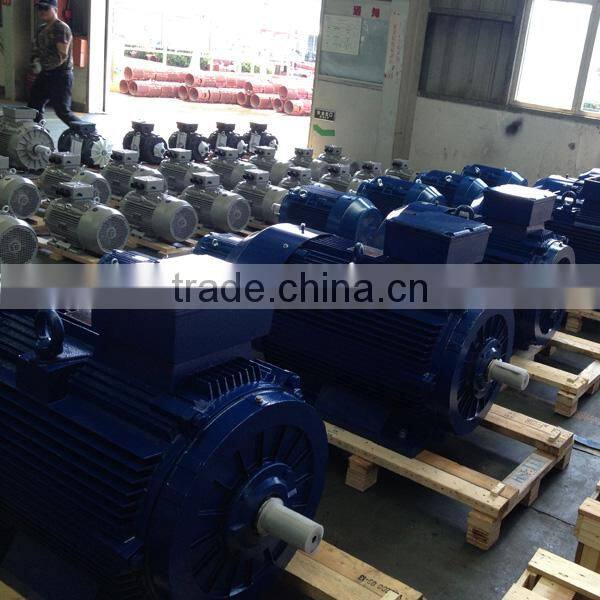 IEC Standard UL Certified Small Three Phase Electric Motor