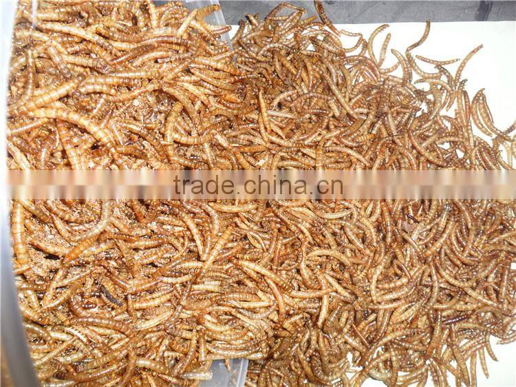 High Nutrient Bird Food & Tortoise Food Dried Mealworms