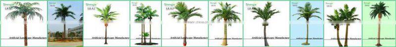 factory direct high quality Palm tree with cheap price palm tree for shopping mall decoration