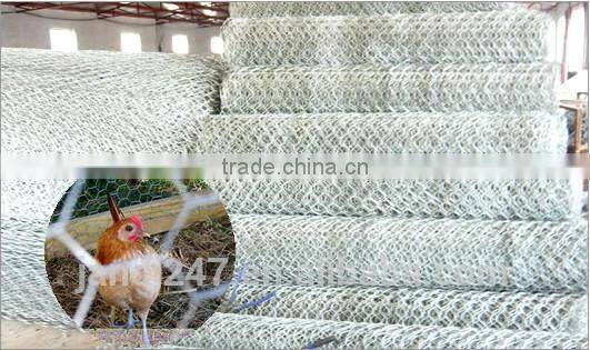 Factory hot sale electro galvanized hexagonal wire fence mesh