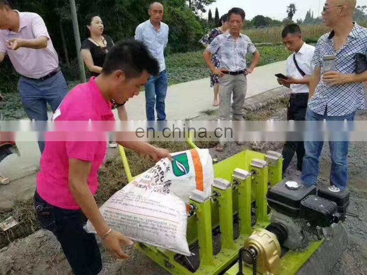 Automatic Type 5 Rows Garlic Seed Planter Garlic Seeder Machine