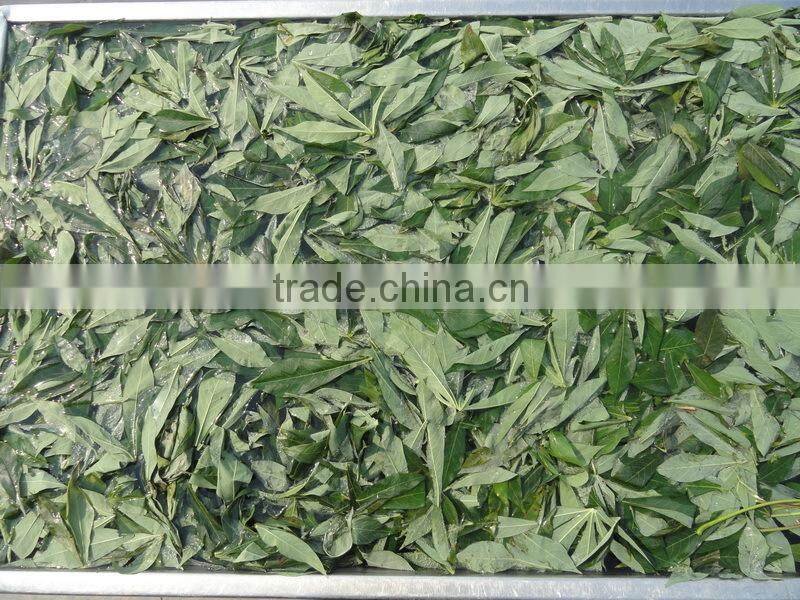 Frozen Cassava Leaf /Frozen cassava Leaves
