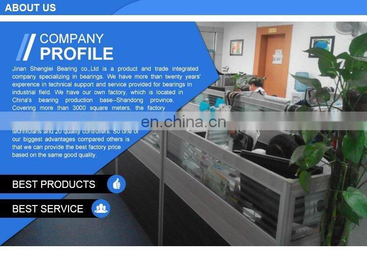 bearing RNA 49/28 Needle Roller Bearing