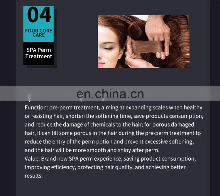 Factory Nano Micro Mist Hair Steamer Machine Beauty Salon Professional Hair Care Machine