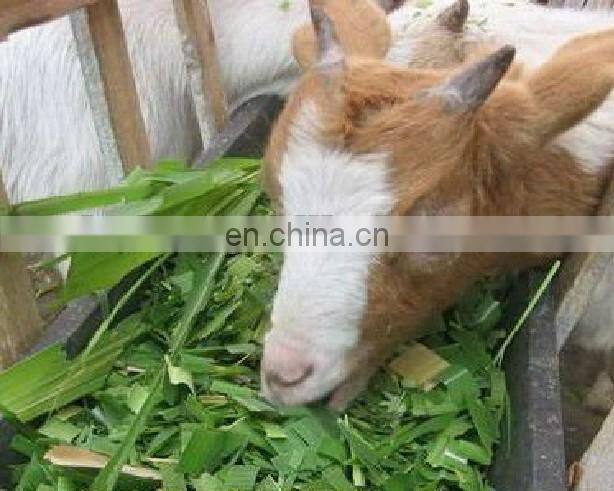 cheap Ensiling chaff cutter machine chaff cutting machine grass cutting machine