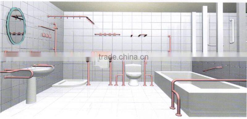 Elderly Disabled Toilet handicap handrails