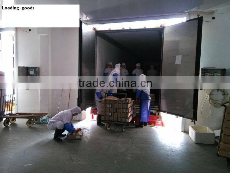 A grade HORSE MACKEREL