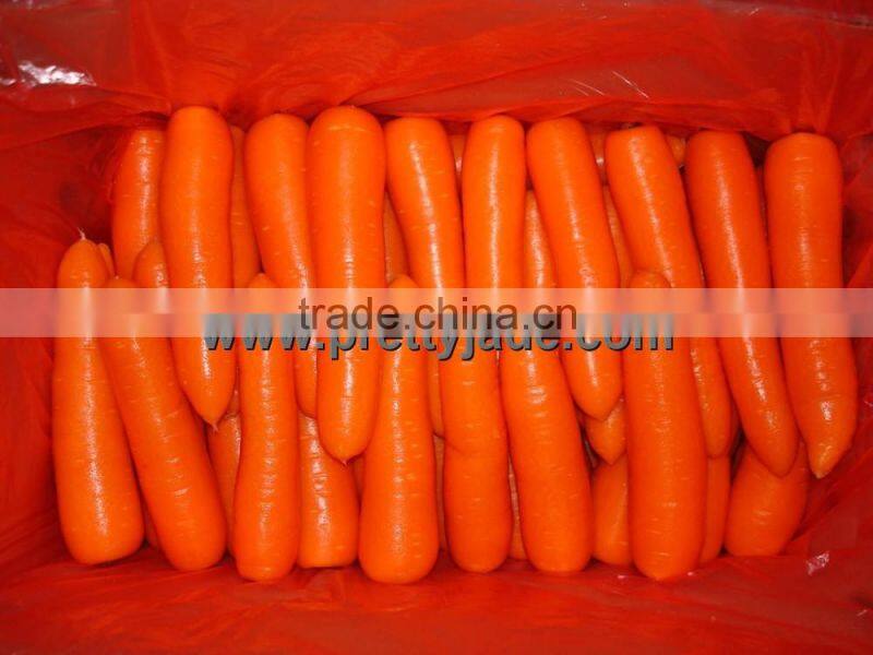 Fresh carrot