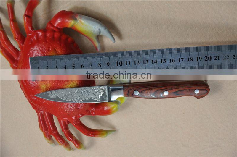 Damascus bowie combat hunting knife FLDL-WG0012