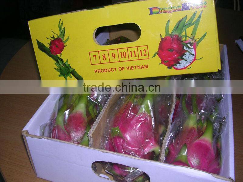 Fresh Dragon Fruit (dragon fruit)