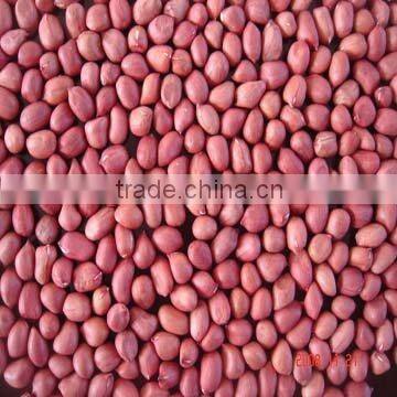 Red Skin Peanut Kernels