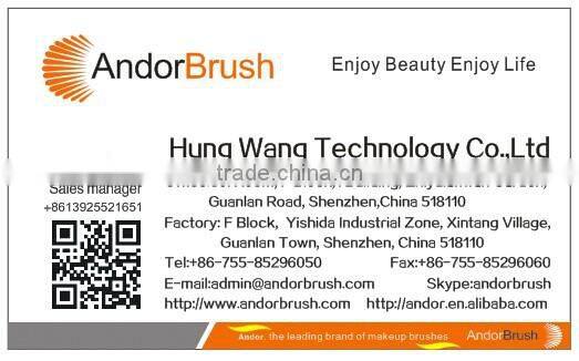 Andor 2015 manufacturers wholesale replaceable brush head electric toothbrush