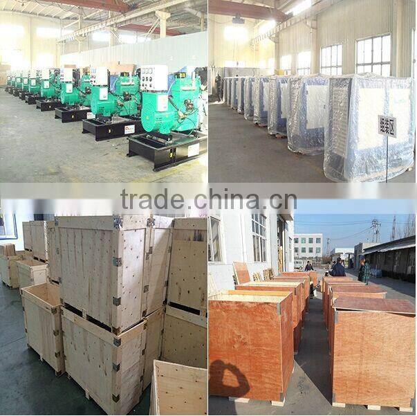 Weifang 495D 20kw 25kva 27Hp ricardo slient diesel generator price