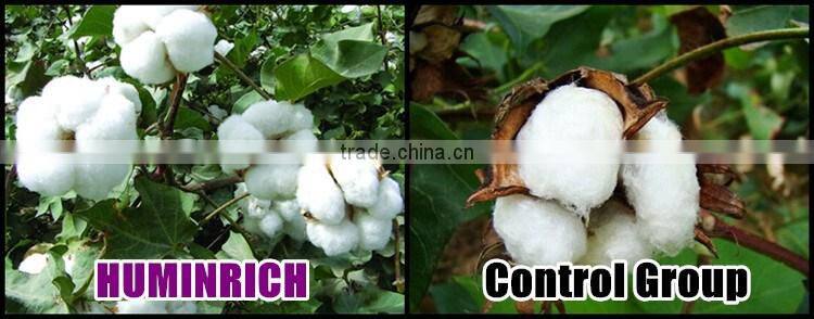 Huminrich Promote Root Development And Stimulates Seed Germination Fully Soluble Leonardite Humic Acid Organic