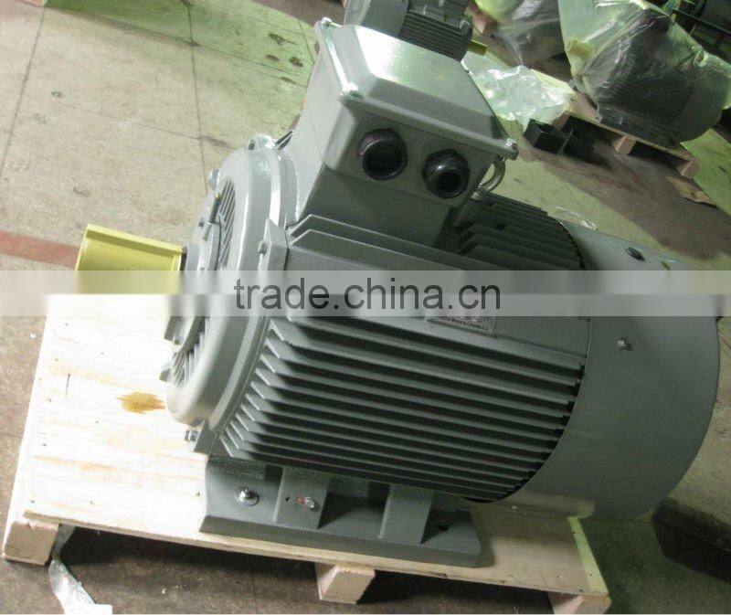 three-phase asynchronous motor IP55