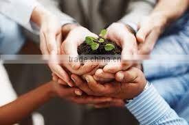 Pure white cloth toyota corolla air filter 17801-64020