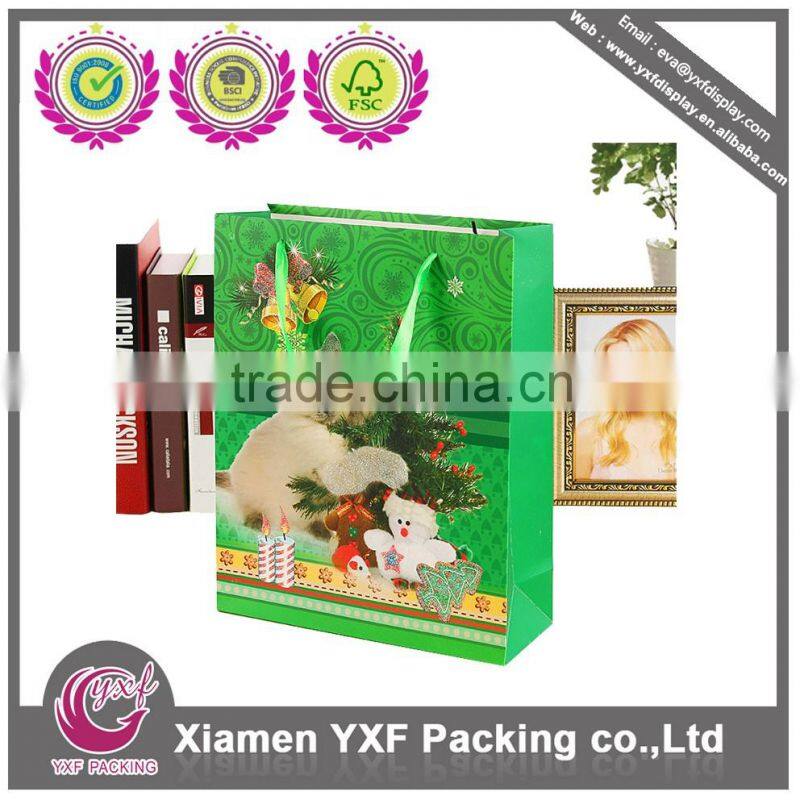 Cute green paper bag with cat design