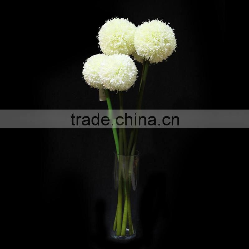 new products 2016 innovative product fistular onion flower with different size