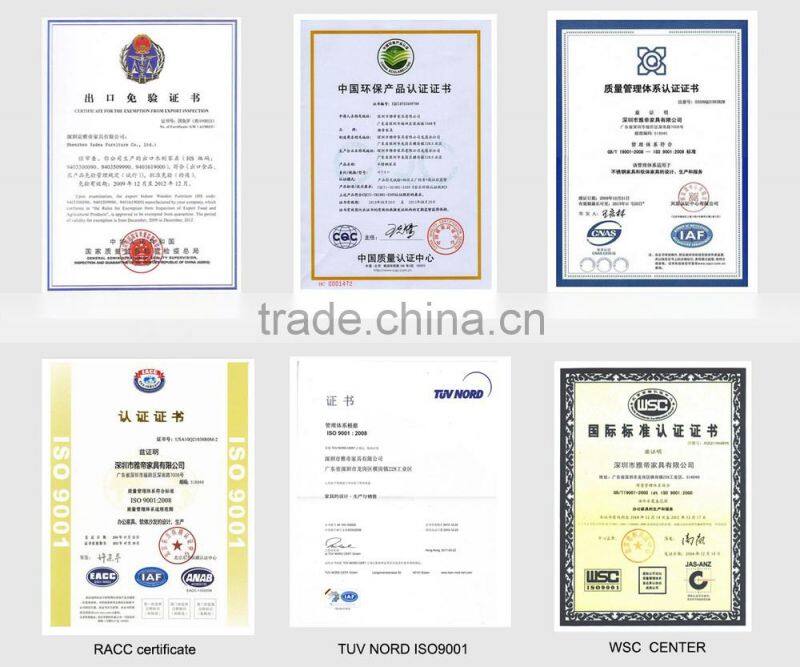 Beautiful top quality genuine leather Italian style living room DS-60 sofa