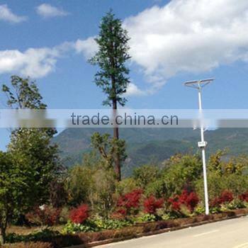 camouflaged communication pine tree tower/pine tree