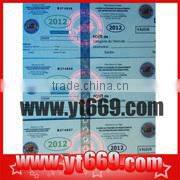 holographic fluorescence sticker