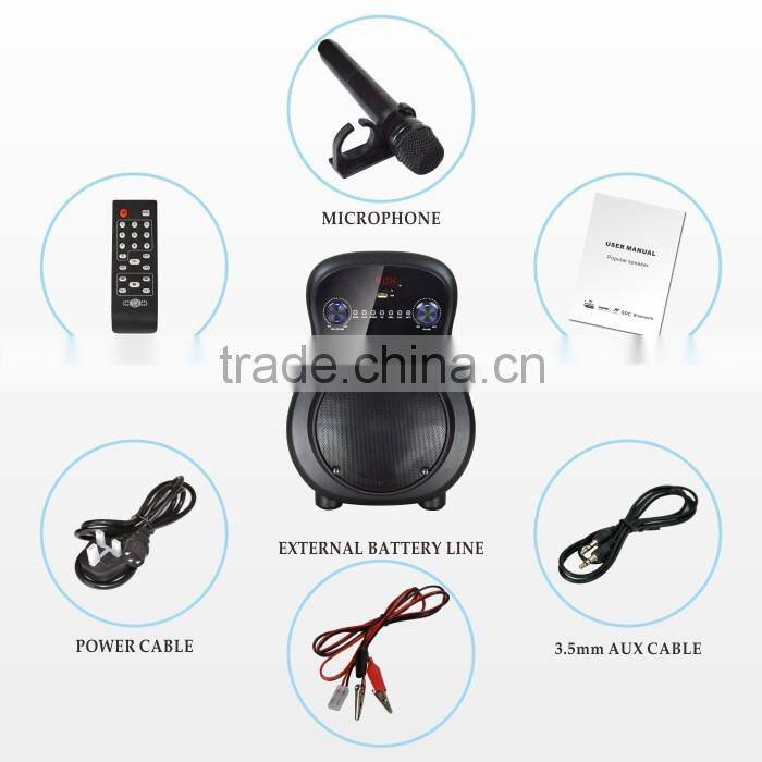 Professional 6.5 inch stage active speaker,outdoor stage sound system speaker